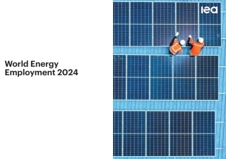 2024世界能源就业（英）