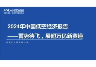 2024年中国低空经济报告