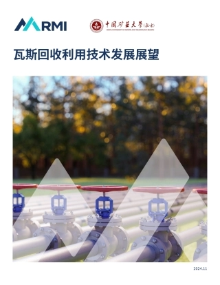 瓦斯回收利用技术发展展望---RMI