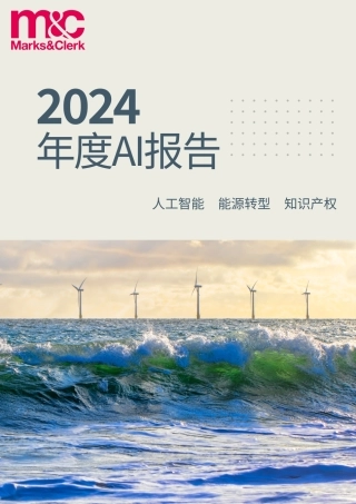 2024年度AI报告