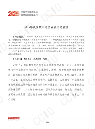 2025年我国数字经济发展形势展望