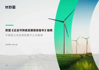 欧盟《企业可持续发展报告指令》指南：中国母公司及某欧盟子公司指南