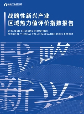 战略性新兴产业区域性热力值评价指数报告