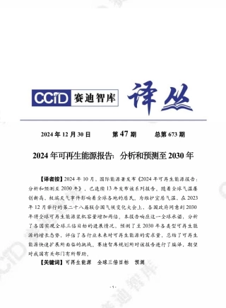 2024年可再生能源报告：分析和预测至2030年