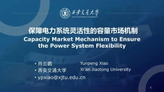 保障电力系统灵活性的容量市场机制——肖云鹏