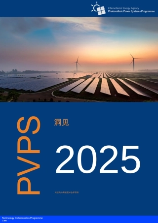 【英译中】国际能源署IEA：光伏发电系统项目：洞见2025