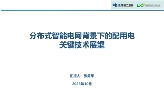 南方电网PPT：分布式智能电网背景下的配用电关键技术展望